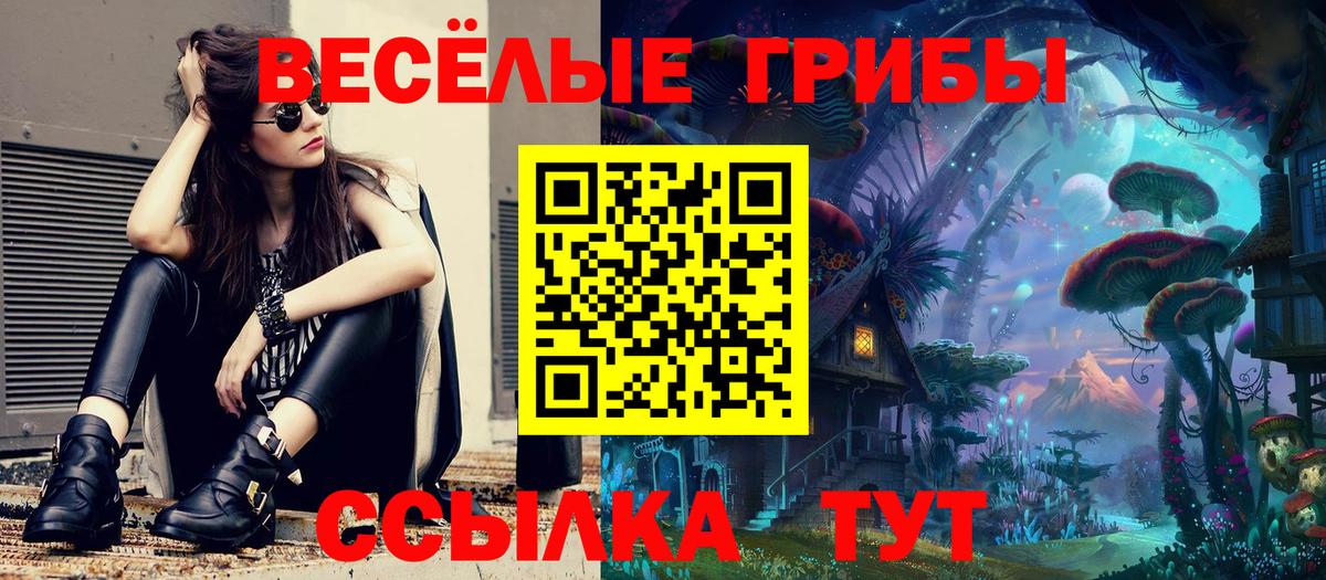 Галлюциногенные грибы Cubensis  Вход с VPN  Лесной  Галлюциногенные грибы ЛСД 