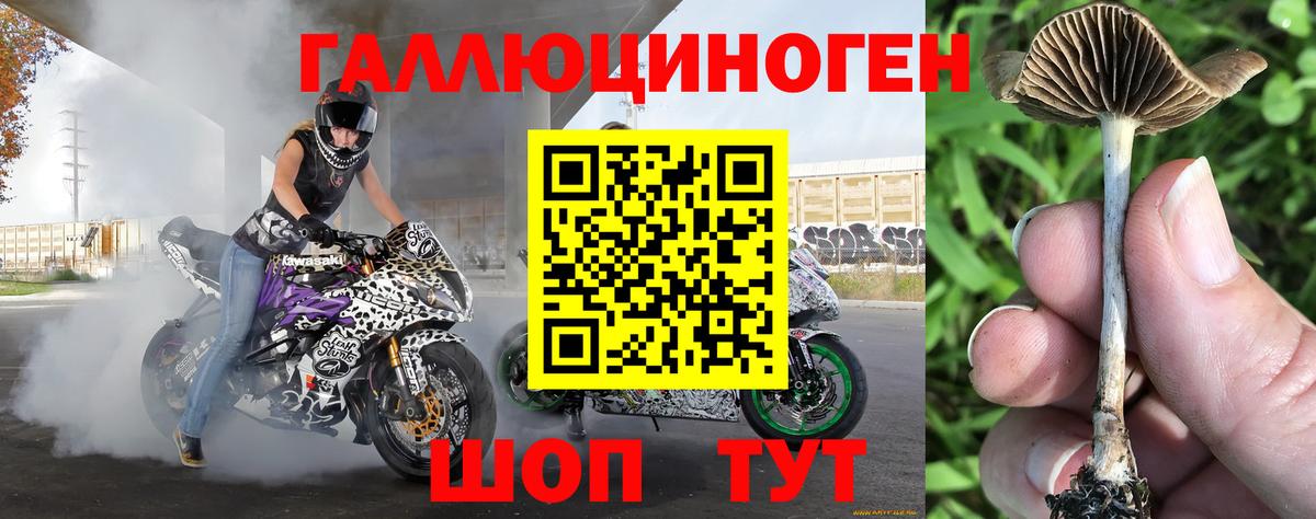 Псилоцибиновые грибы ЛСД Лесной